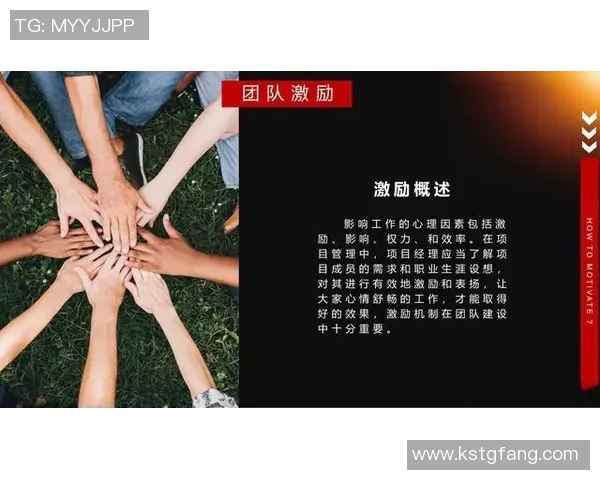 广州排球队的精神追求与团队意识深度剖析